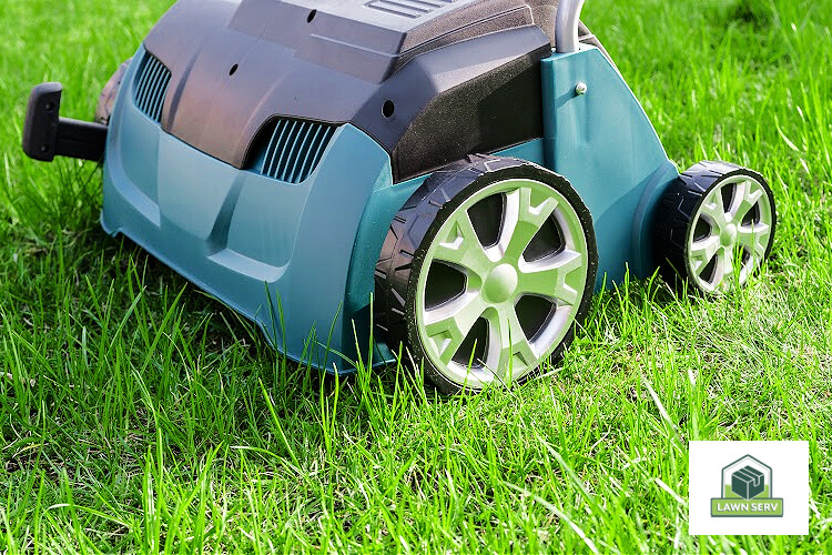 How To Aerate And Dethatch Your Lawn The Essential Guide Lawn Serv